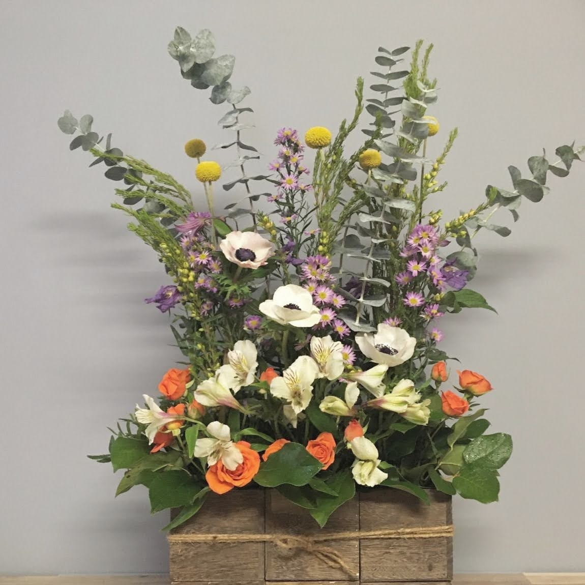 Arrangement rectangulaire organique (pot blanc)- 150$ à 300$